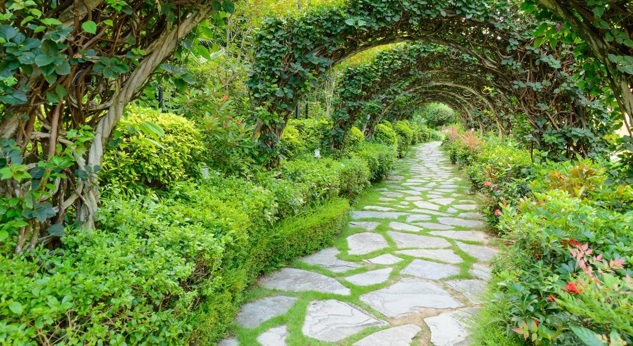 Quiet oak-lined path in a Charleston Peninsula green space