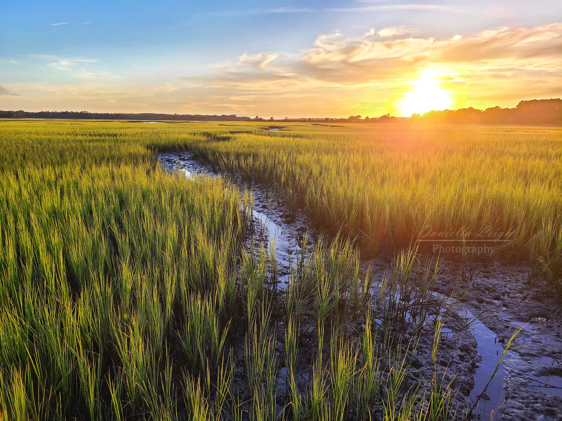 Scenic Charleston Lowcountry landscape