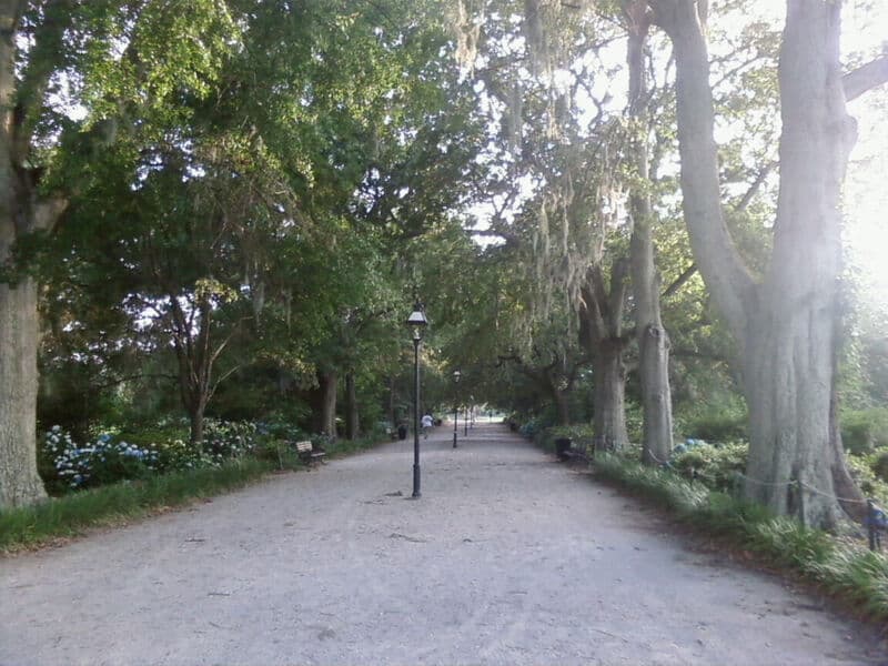 Live oaks and open lawn at Hampton Park in Charleston