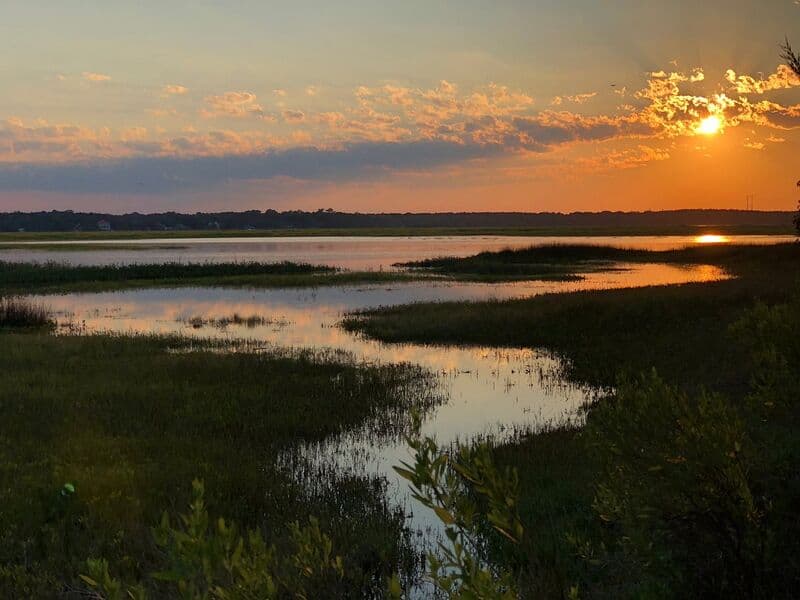 Picnic areas and open space at James Island County Park near Charleston